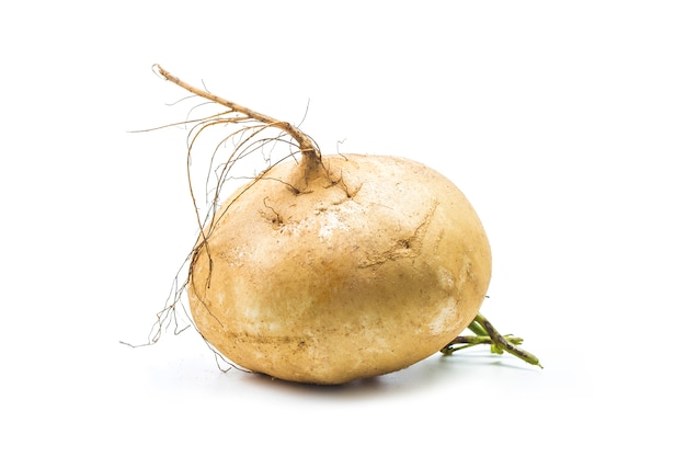 Pachyrhizus erosus? Ganze Jicama isoliert auf weißem Hintergrund