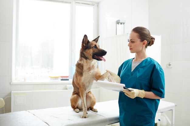 Paciente veterinario y perro