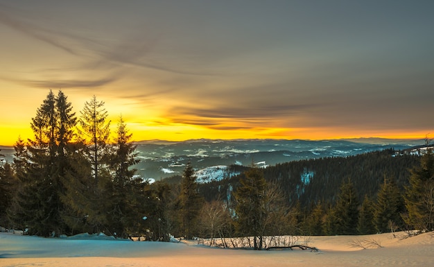 Foto pacífica paisagem no vale da montanha com floresta de abetos e montes de neve como pano de fundo sem pôr do sol e céu azul com nuvens