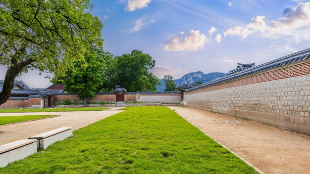 Foto el pacífico patio cubierto de hierba y la pared tradicional coreana en el palacio gyeongbokgung