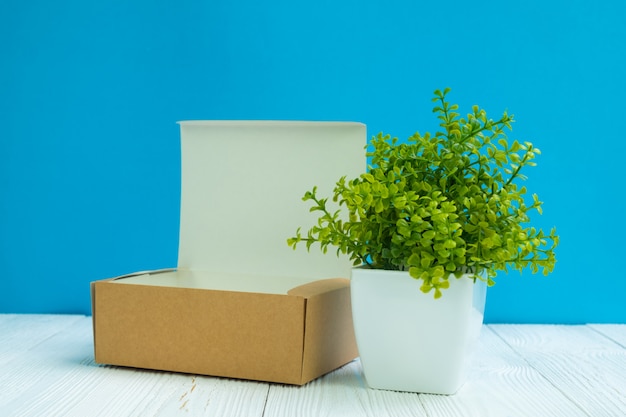 Packen Sie braune Pappschachtel oder Behälter und wenig Baum leer
