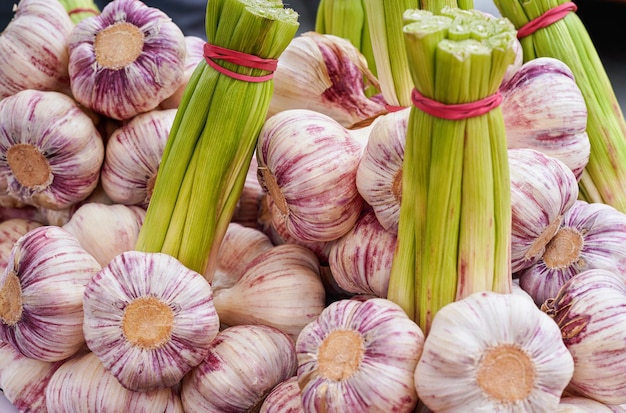 Packungen mit frischem Knoblauch mit violetten Streifen auf dem lokalen Lebensmittelmarkt, Nahaufnahme