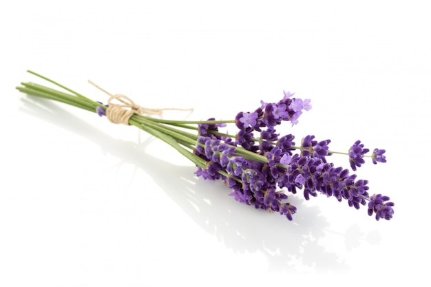 Pacote de flores de lavanda em um fundo branco