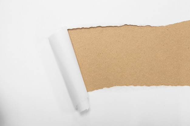 Pacote rasgado enrolado em papel curvl com copyspace branco em branco