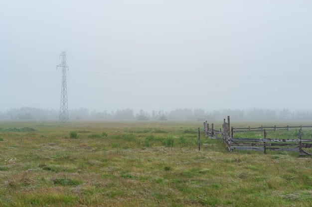 Paddock de ganado de paisaje rural en un pasto de niebla