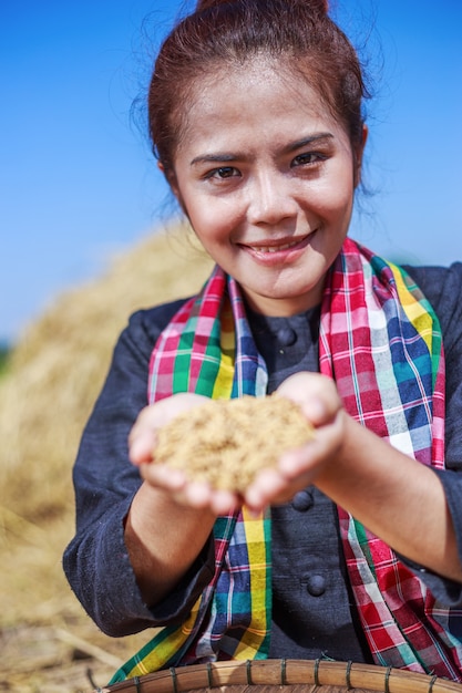 Paddy-Reis in der Landwirtfrauenhand