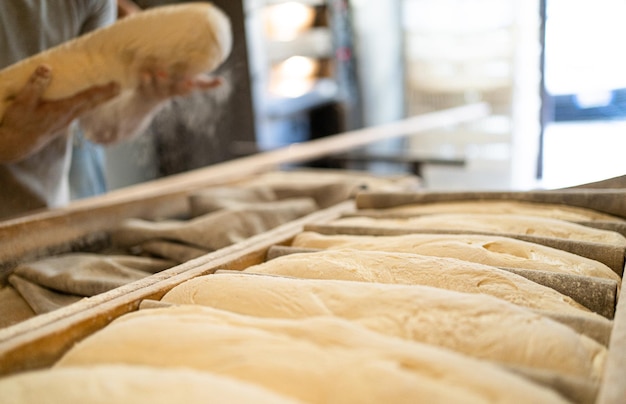 Padeiros trazem pão fermentado ao forno no início da manhã padaria tradicional