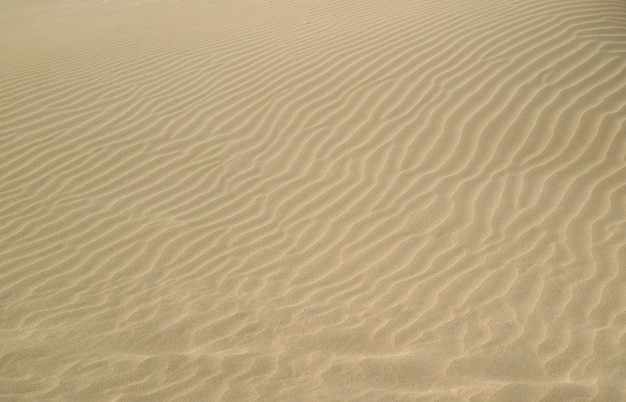 Padrão artístico de ondulações de areia na praia