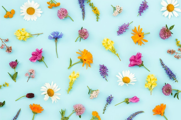 Padrão brilhante de flores silvestres coloridas em um fundo azul como pano de fundo ou textura Papel de parede floral primavera verão para seu projeto Vista superior