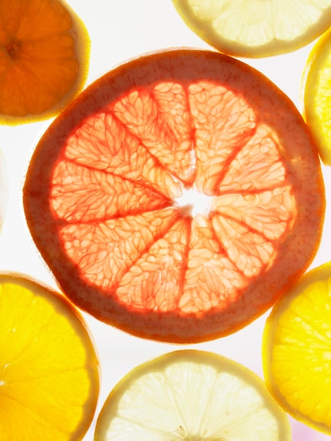 Foto padrão cítrico de fatias de laranja, limão e toranja frutas cítricas brilham através da luz diferentes frutas cítricas padrão cítrico colorido conjunto de frutas úteis
