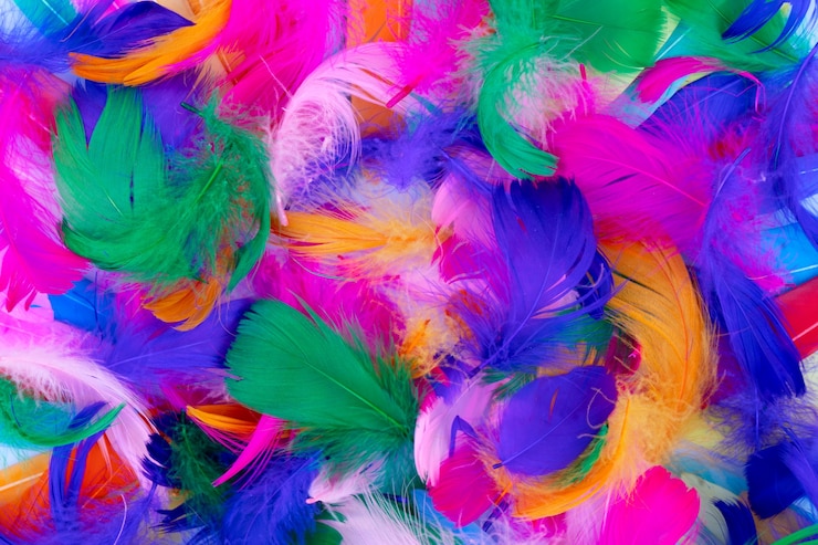 Foto padrão colorido feito de penas. conceito de cor de estilo boho mínimo, fundo de vista superior plano leigo natural.
