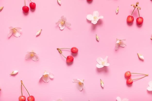 Padrão com flores de jasmim e cereja doce em fundo rosa pastel ficou plano na vista superior