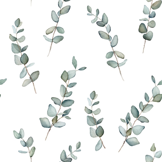 Padrão com folhas verdes de eucalipto Botânico natural Ilustração isolada em aquarela em fundo branco Padrão sem emenda uma ilustração para cartões postais pôsteres design têxtil e outros