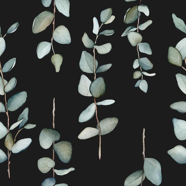 Padrão com folhas verdes de eucalipto Botânico natural Ilustração isolada em aquarela em fundo preto Padrão sem costura uma ilustração para cartões postais pôsteres design têxtil e outros