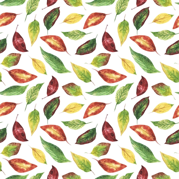 Padrão de aquarela de plantas de outono Folhas de outono caem Estilo moderno e brilhante