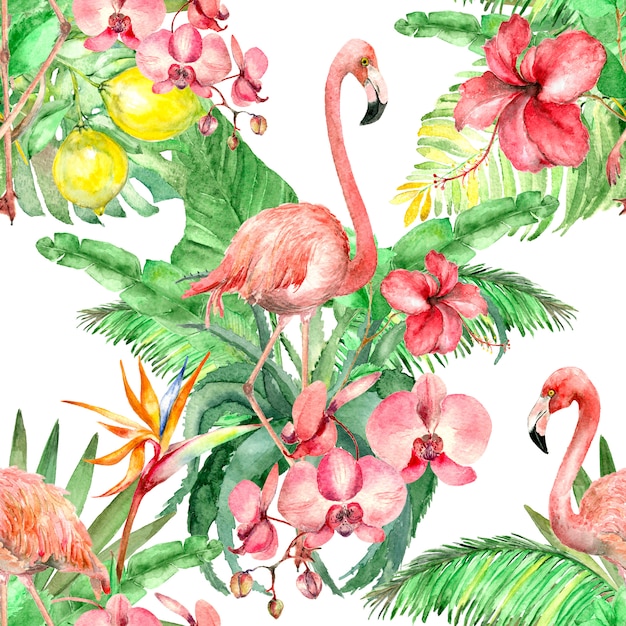 Padrão de aquarela flamingo tropical