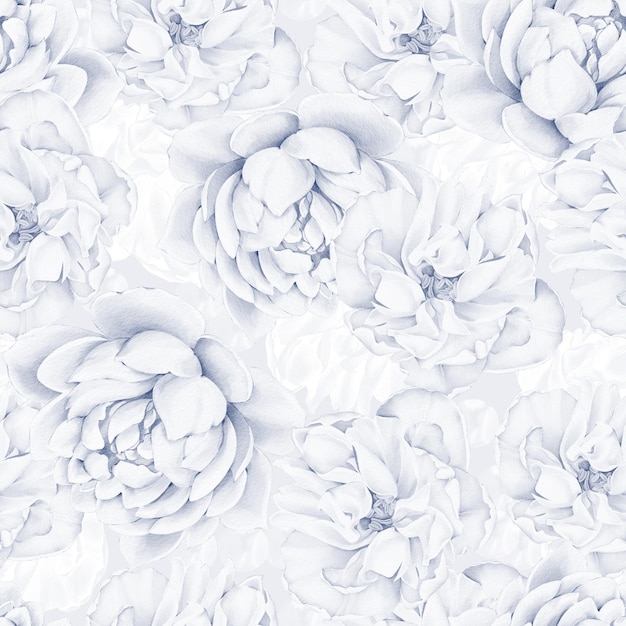 Padrão de aquarela sem costura com delicadas flores brancas e azuis Padrão floral para cartão de embrulho de tecido têxtil saudação convite presente em fundo branco