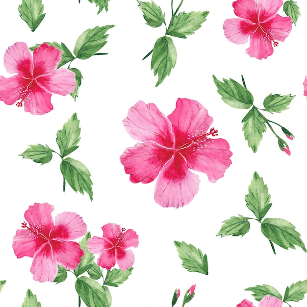 Foto padrão de aquarela sem costura com ilustração botânica de hibisco de flores tropicais exóticas isolada em