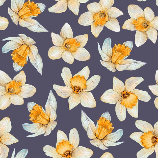 Padrão de aquarela sem costura flores de primavera ilustração de narcisos em um fundo escuro de lila roxa