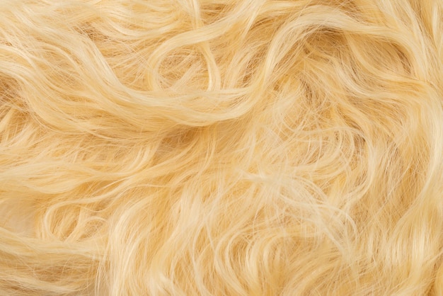 Padrão de cabelo loiro ondulado Vista superior