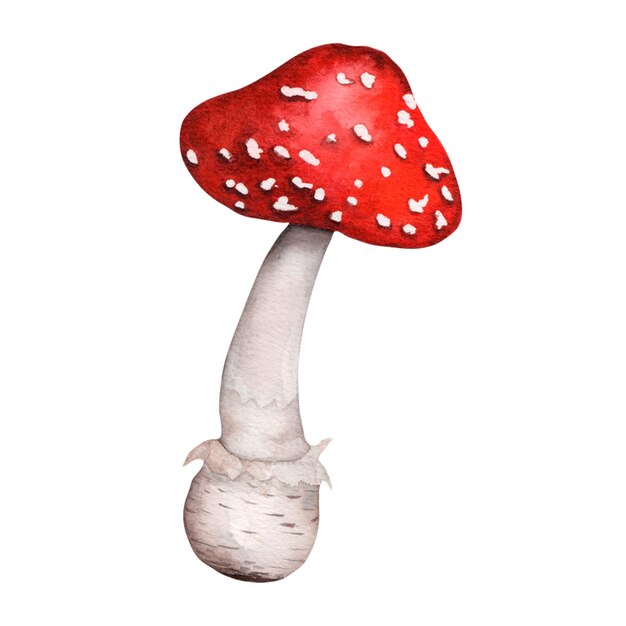 Foto padrão de desenho animado com agaric de mosca vermelha em fundo branco cogumelo elegante para impressão em travesseiros