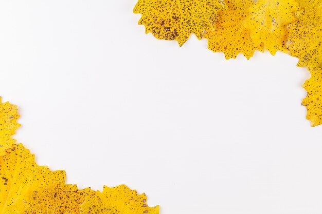 Padrão de estilo outono com espaço de cópia, rodeado por folhas amarelas secas