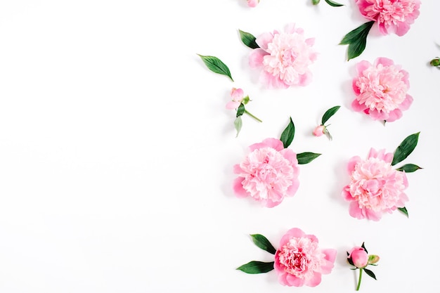 Padrão de flor de flores de peônia rosa, galhos, folhas e pétalas em branco