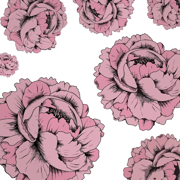 Padrão de fundo png de rosa rosa
