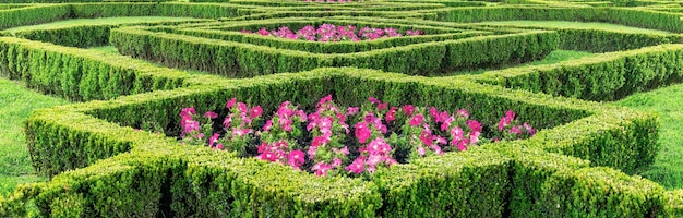 Foto padrão de jardim tradicional francês com formas geométricas