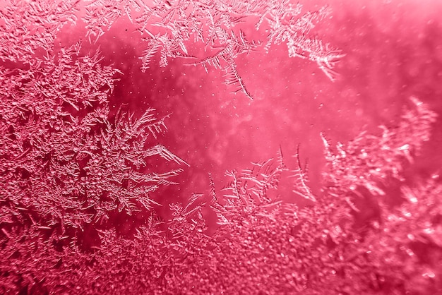 Padrão de neve no vidro da cor frost viva magenta do ano