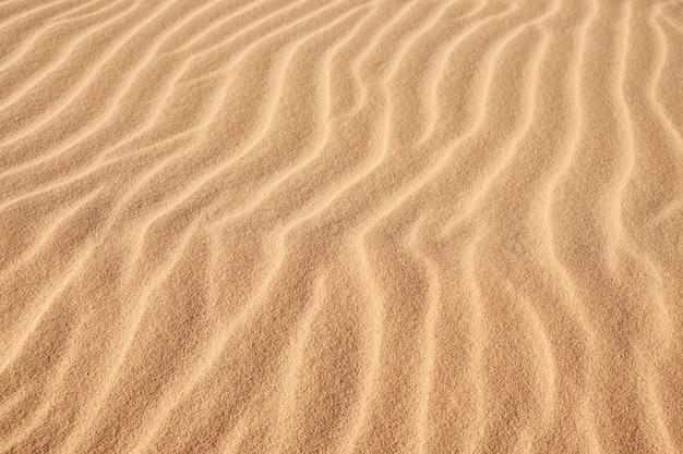 Foto padrão de onda fechado do deserto, papel de parede