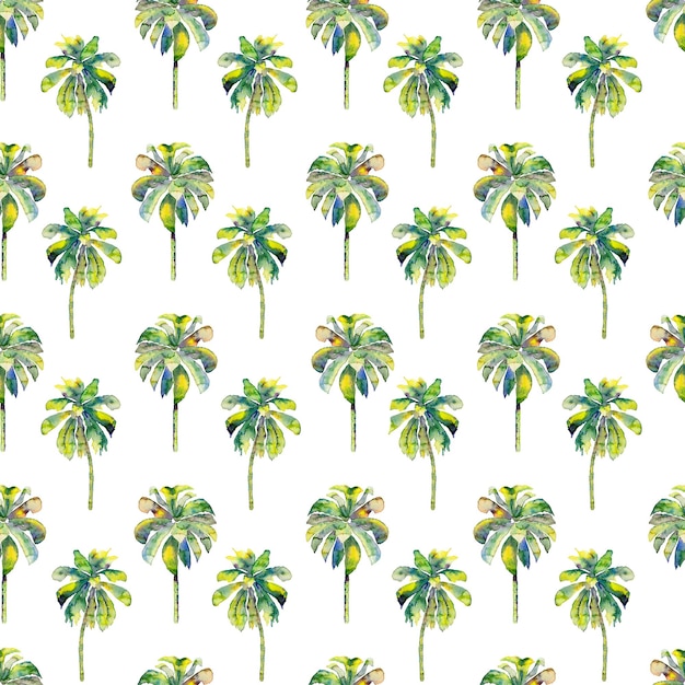 Padrão de palma. Padrão sem costura de aquarela exótica. Impressão tropical havaiana. Design de trajes de banho com palmeiras. Relatório de folhas exóticas. Aquarela botânica sem costura. Árvores de banana e coco.