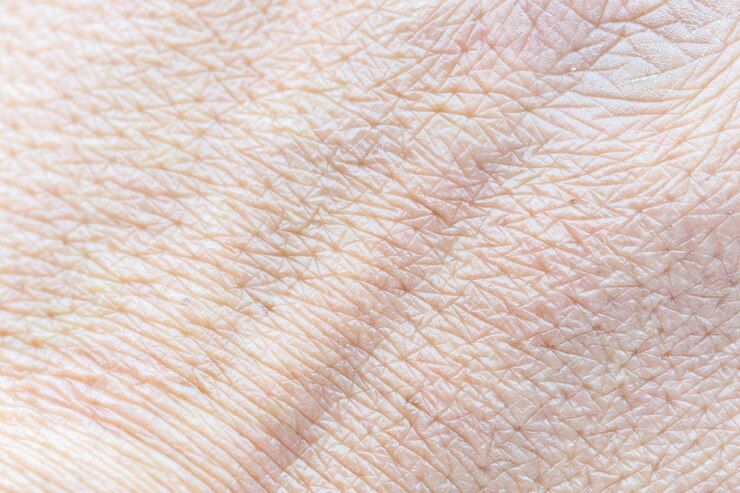 Padrão de pele humana com células e textura de linhas.