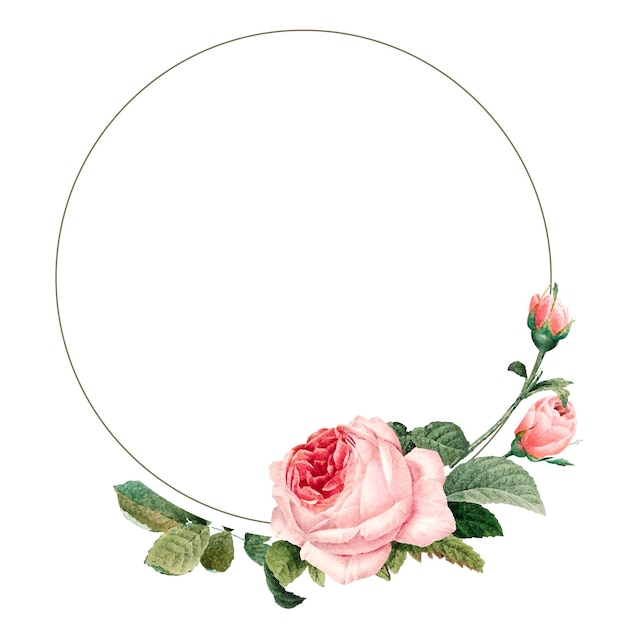 Padrão de rosa de repolho em um elemento de design de moldura dourada