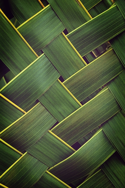 padrão de tecelagem de folhas de coco, fundo de textura verde natureza