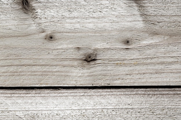 Padrão de textura de placas de árvores de madeira