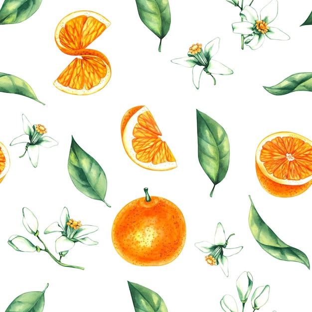 Padrão floral de aquarela com laranjas Laranjas e flores desenhadas à mão em fundo branco