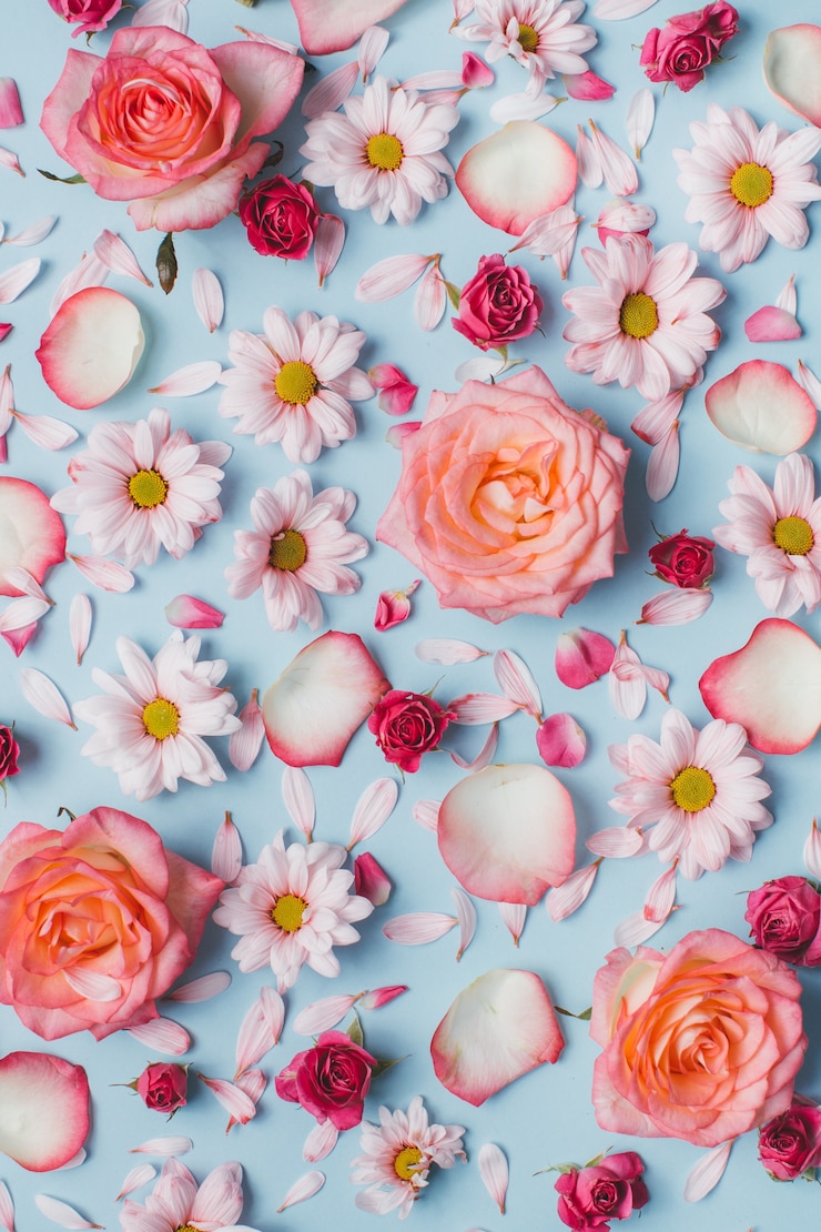 Foto padrão floral de botões de rosas, camomilas e pétalas em fundo azul.