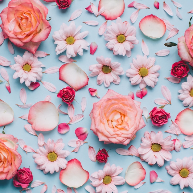 Padrão floral de botões de rosas, camomilas e pétalas em fundo azul.