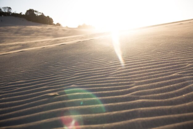 Foto padrão na areia