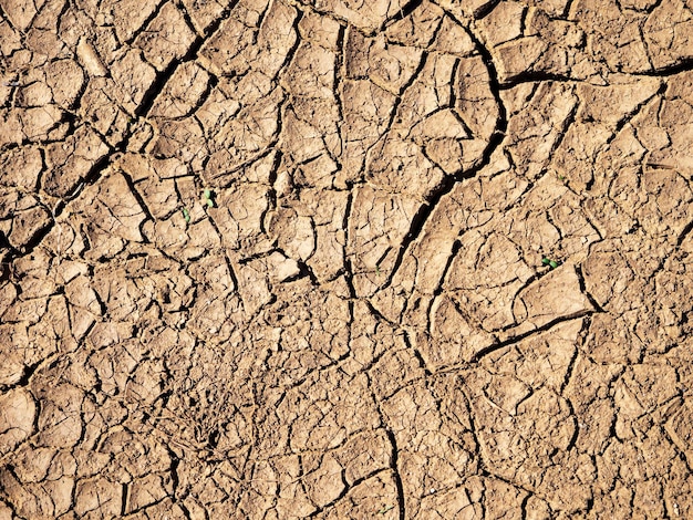 Padrão natural de terra rachada em estilo moderno Fundo natural Design moderno Clima quente