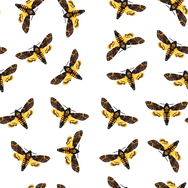 Padrão perfeito Borboleta amarela marrom cabeça da morte Acherontia atropos Mariposa falcão com crânio, insetos