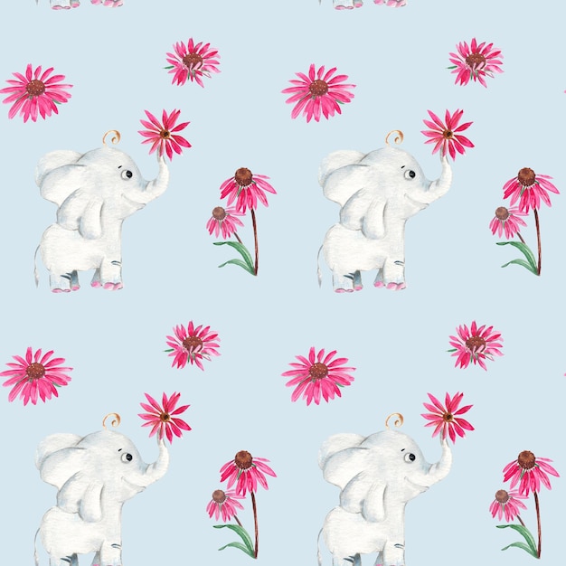 Padrão perfeito com elefante fofo e flores echinacea ilustração desenhada à mão em aquarela