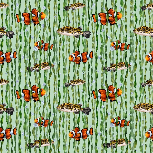 Padrão perfeito com peixe-palhaço tropical colorido, peixe-leopardo e fundo de algas marinhas para banners de tecidos têxteis, papel de embrulho e outros designs