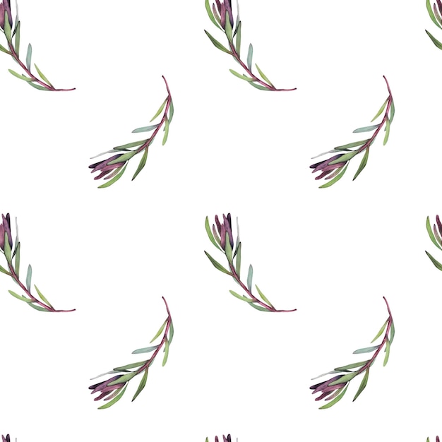 Padrão perfeito de aquarela com fundo floral magenta protea florescendo flores e folhas de protea