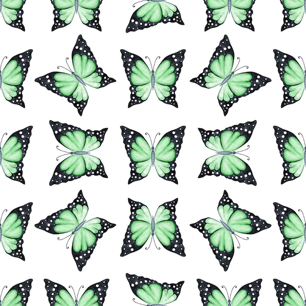 Padrão perfeito de borboletas verdes em aquarela em branco