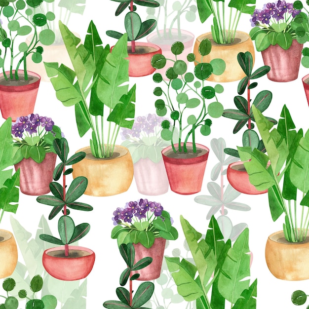 Padrão perfeito de plantas de interior ficus palm violeta árvore de dinheiro em vaso pintada à mão em aquarela