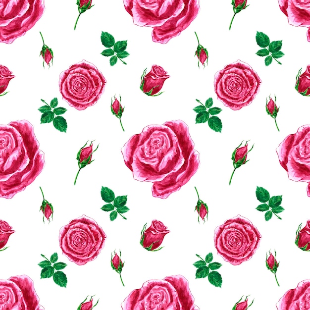 Padrão perfeito de rosas desenhadas à mão Composição de flores cor de rosa aquarela no fundo branco