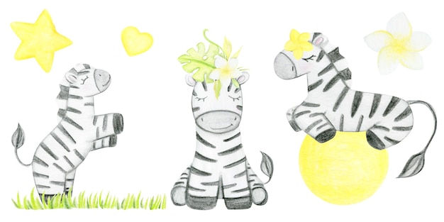 Padrão perfeito desenhado à mão em aquarela com safári de zebra fofo
