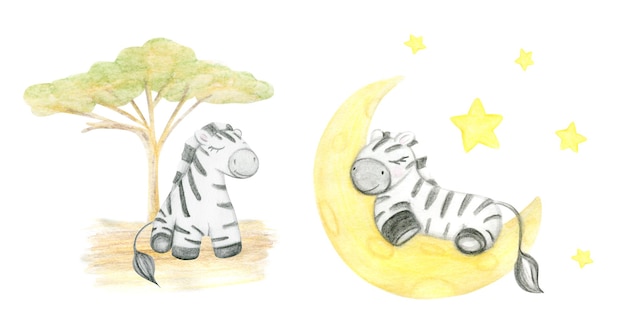 Padrão perfeito desenhado à mão em aquarela com safári de zebra fofo